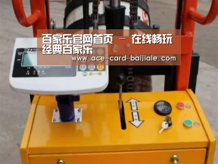 百家乐网站案例展示三