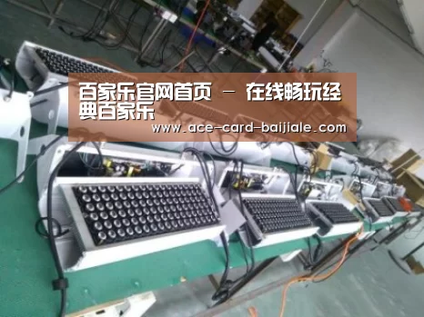 百家乐网站案例展示一
