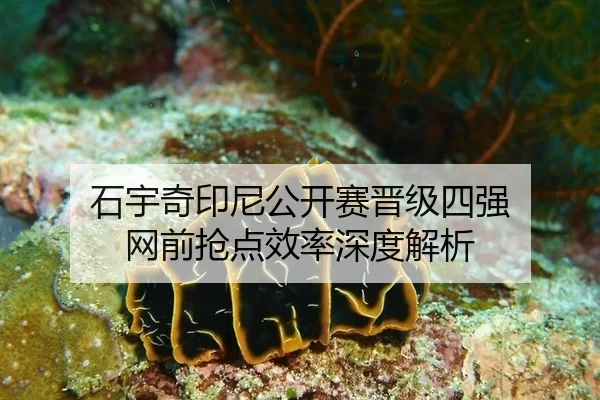 石宇奇印尼公开赛晋级四强 网前抢点效率深度解析